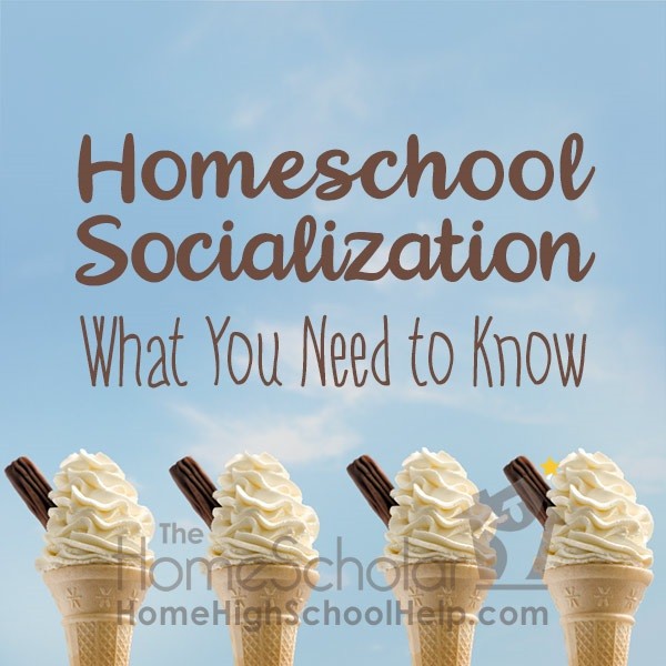 what you need to know about homeschool socialization