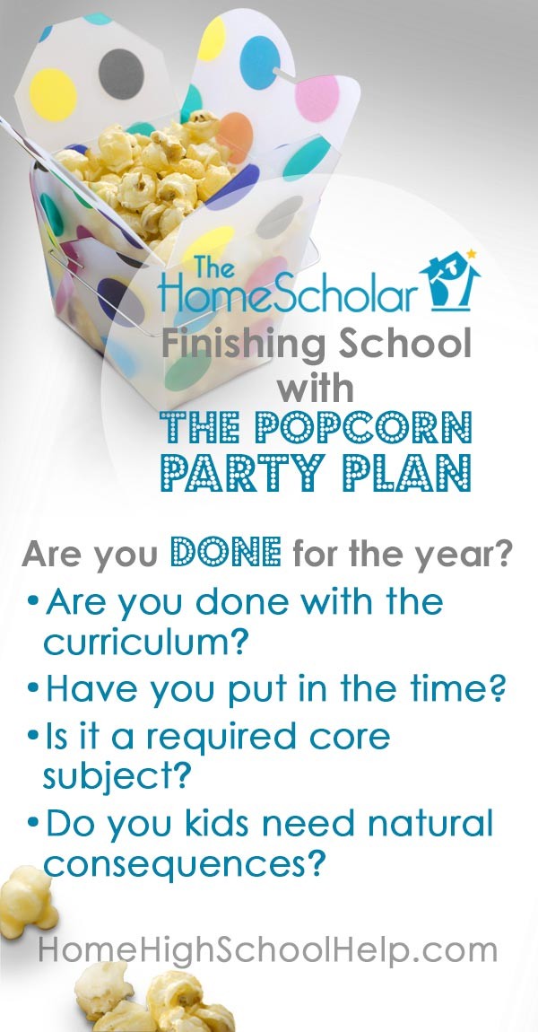 finishing the year with the popcorn party plan pin