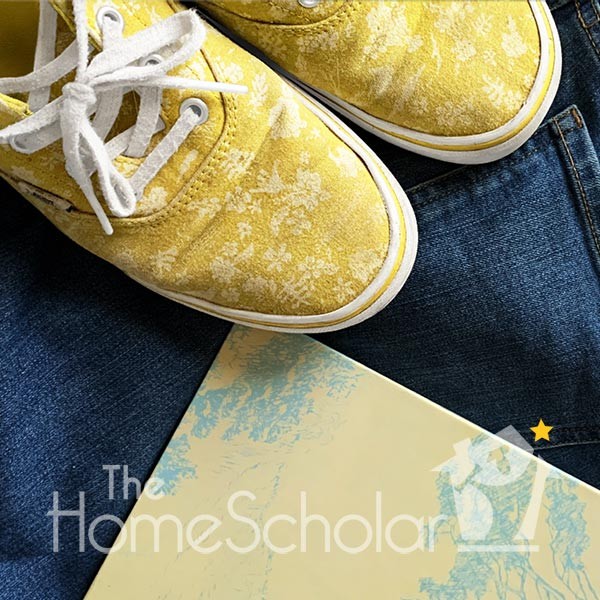 7 simple steps to a middle school homeschool plan top