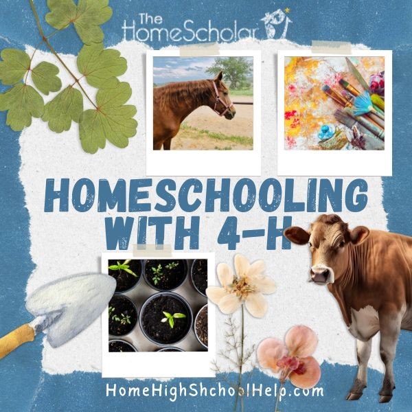Homeschooling with 4-H