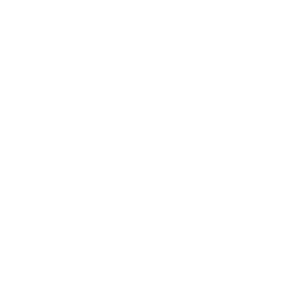 Money Bag Icon